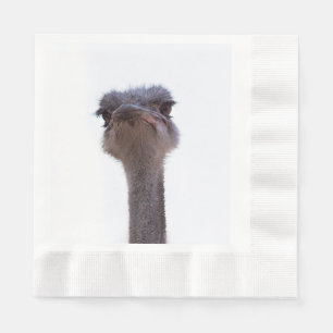Servilleta De Papel avestruz