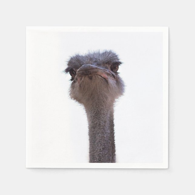 Servilleta De Papel avestruz (Anverso)