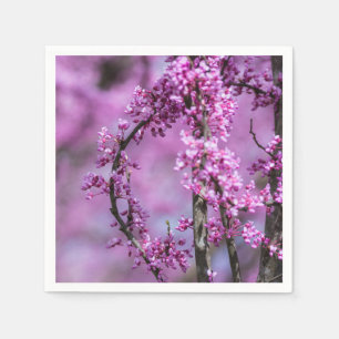 Servilleta De Papel Avondale Redbud Art