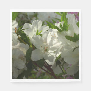 Servilleta De Papel Azaleas blancas iluminadas por el sol Hermosas flo