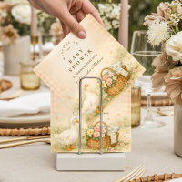 Baby Shower de primavera: Ganso Tonto Caprichoso