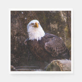 Servilleta De Papel Bald Eagle