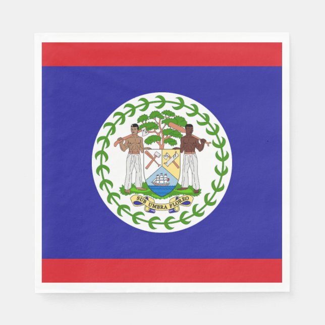 Servilleta De Papel Bandera de Belice (Anverso)
