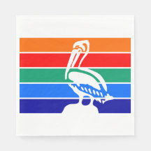 Bandera de San Petersburgo (Florida)