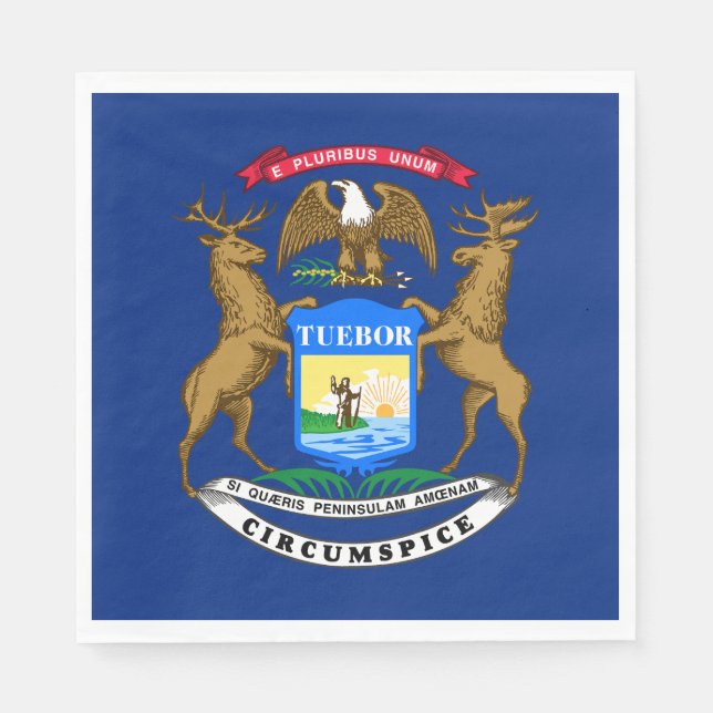 Servilleta De Papel Bandera del estado de Michigan (Anverso)