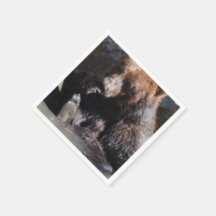 Servilleta De Papel Baño del oso