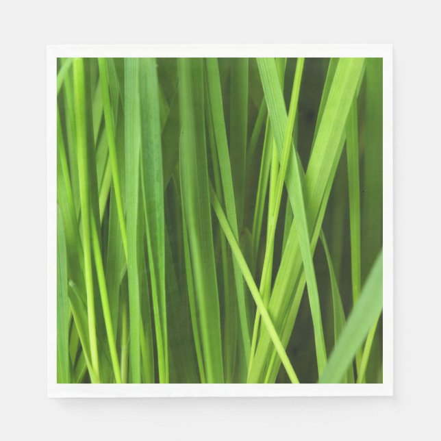 Servilleta De Papel Barras de hierba (Anverso)