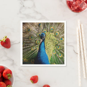 Servilleta De Papel Bashful Peacock