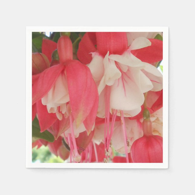 Servilleta De Papel Bashkirtseff (Anverso)