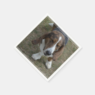 Servilleta De Papel Basset Hound dulce