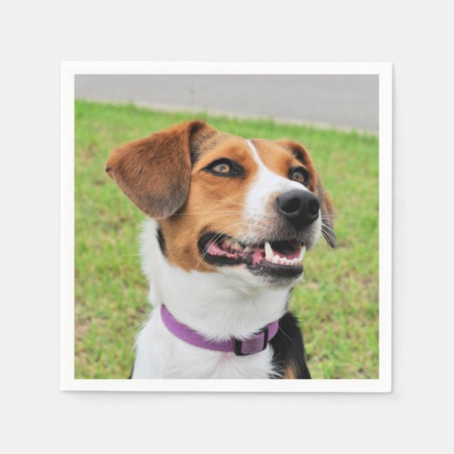 Servilleta De Papel Beagle (Anverso)