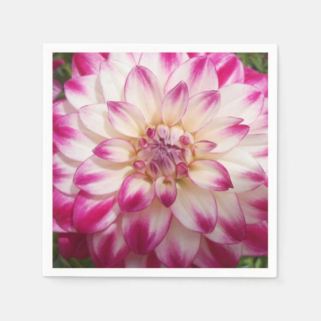 Servilleta De Papel Beaux (Anverso)