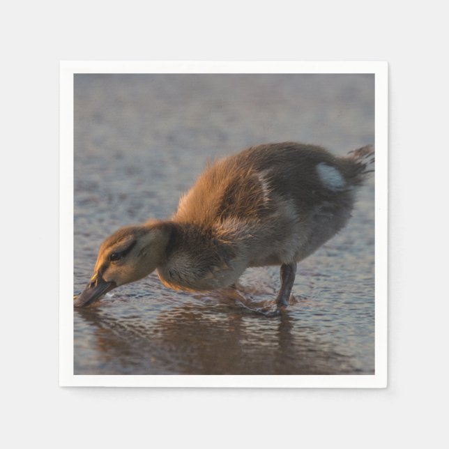 Servilleta De Papel Bebé sediento (Anverso)