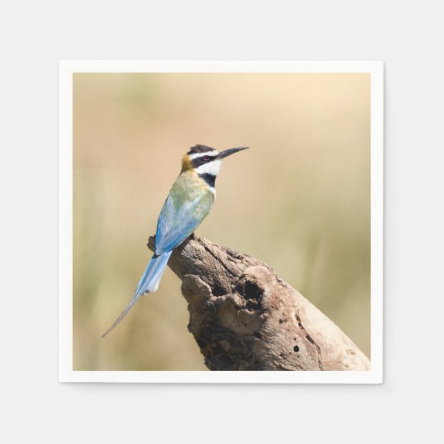 Servilleta De Papel Bee-eater (Anverso)