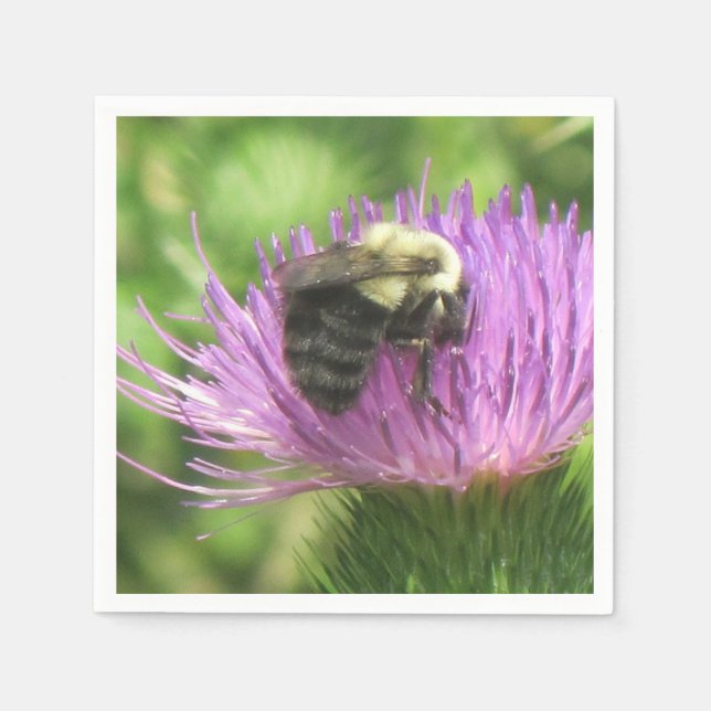 Servilleta De Papel Bee On Thistle Napkin (Anverso)