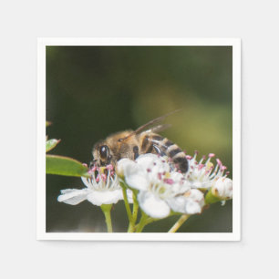 Servilleta De Papel Bee recoge polen