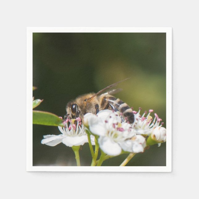 Servilleta De Papel Bee recoge polen (Anverso)