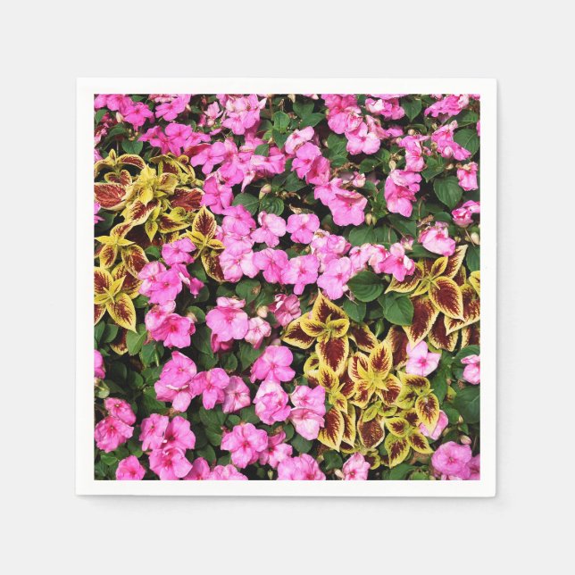 Servilleta De Papel Begonias rosadas y coleus (Anverso)