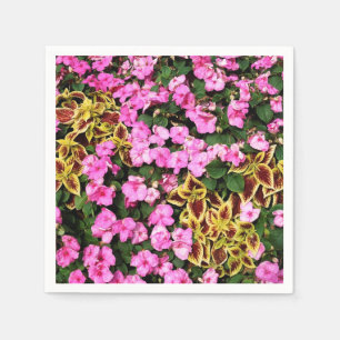 Servilleta De Papel begonias rosas y coleus