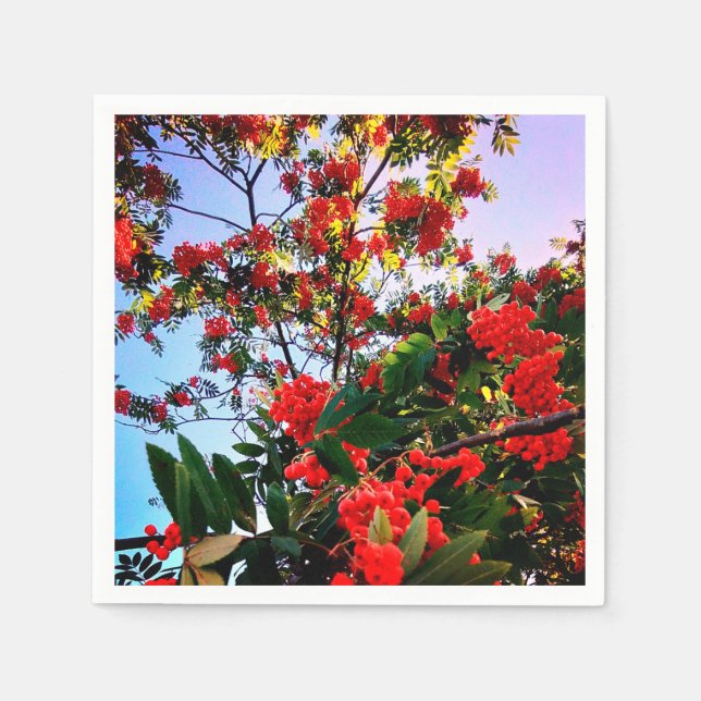 Servilleta De Papel Bellas rojas (Anverso)