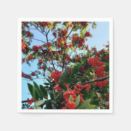 Servilleta De Papel Bellas rojas