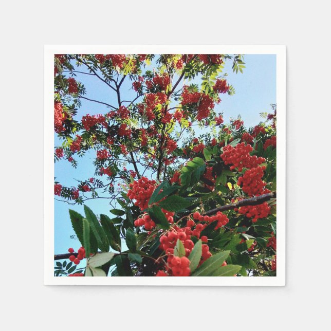 Servilleta De Papel Bellas rojas (Anverso)