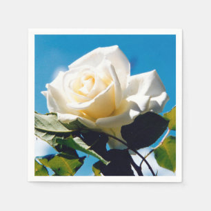 Servilleta De Papel Belleza rosa blanca bajo cielo azul