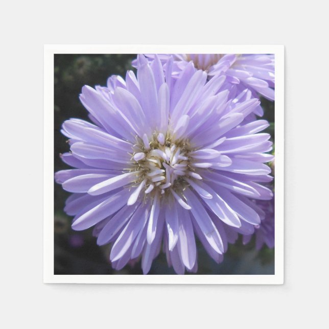 Servilleta De Papel Berlinette (Anverso)