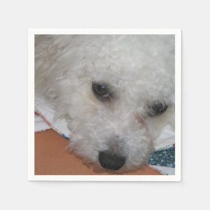 Servilleta De Papel Bichon Frisé.png