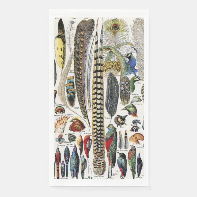 Servilleta De Papel Bird Feather Wildlife Antique Feathers Art Nouveau (Anverso)