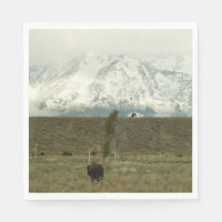 Bison en la fotografía del parque nacional del Gra
