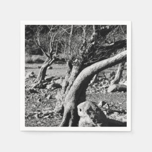 SERVILLETA DE PAPEL BLACK AND WHITE TREES
