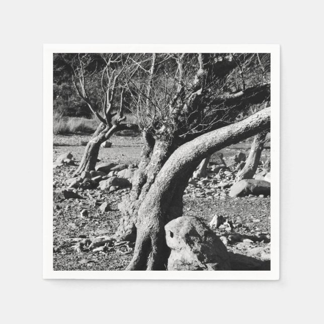 SERVILLETA DE PAPEL BLACK AND WHITE TREES   (Anverso)