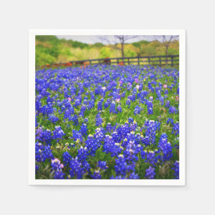 Servilleta De Papel Bluebonnets en Tejas
