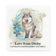 Boda de fotografía de perro de Malamute en Alaskan