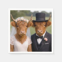 Boda de vacas Scottish Highland