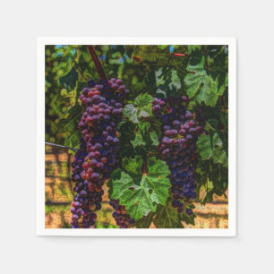 Servilleta De Papel Bodega Uvas de viñedos grapevine soleado toscano