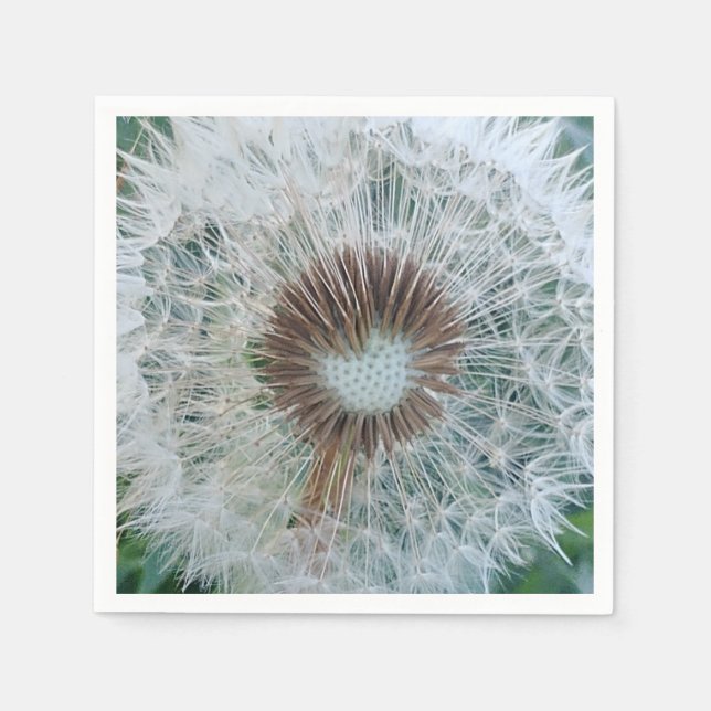 Servilleta De Papel Bonito Dandelion blanco (Anverso)