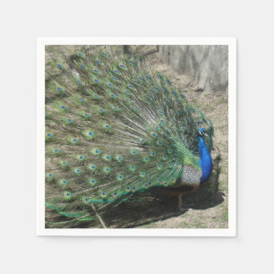 Servilleta De Papel Bonito Peacock