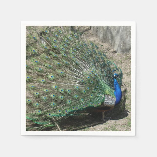 Servilleta De Papel Bonito Peacock (Anverso)