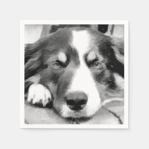 SERVILLETA DE PAPEL BORDER COLLIE