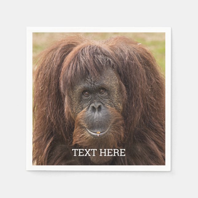 Servilleta De Papel Borneo Orangutan Beautiful Photography (Anverso)