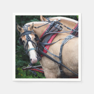 Servilleta De Papel Borrador de caballo 387