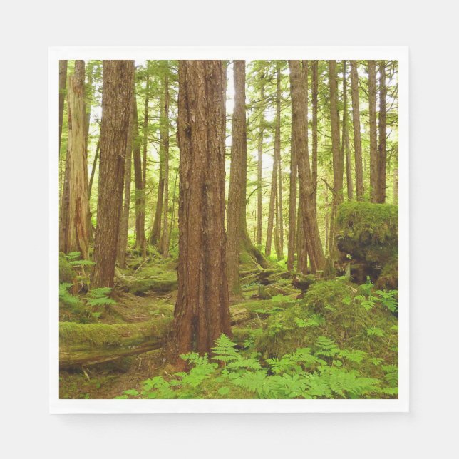 Servilleta De Papel Bosque Lluvioso Templado de Alaska (Anverso)