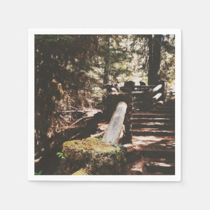 Servilleta De Papel Bosque nacional Willamette