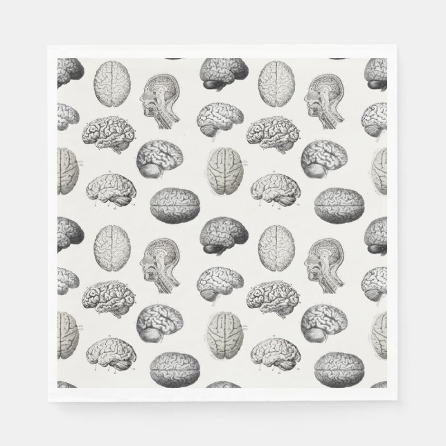 Servilleta De Papel Brain Anatomy Biology Illustrations (Anverso)
