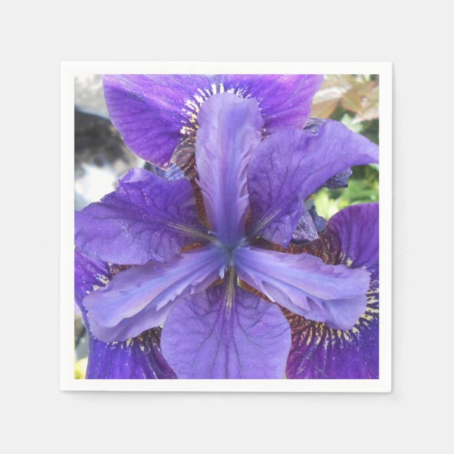 Servilleta De Papel Brandeis (Anverso)