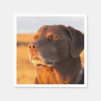 Servilleta De Papel Breathe, Just Breathe Dog Napkins