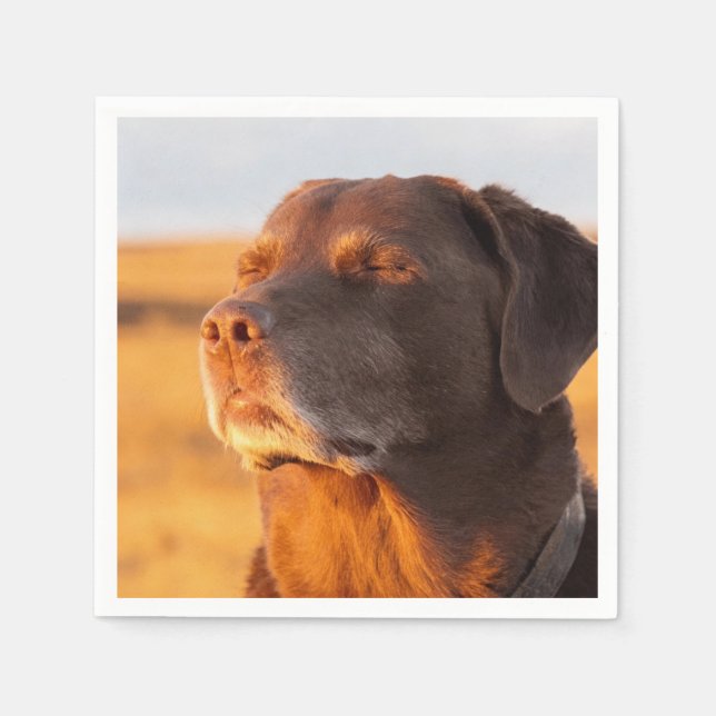 Servilleta De Papel Breathe, Just Breathe Dog Napkins (Anverso)