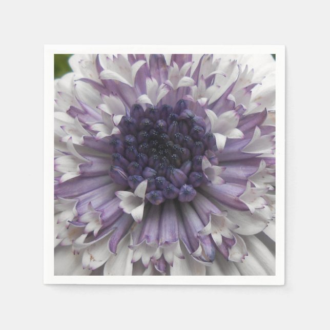 Servilleta De Papel Brett (Anverso)